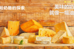 怎么选芝士粉？解析阿帕奶酪的探索之路