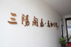 多列粉末包装机厂家：三阳科技的技术路径解读