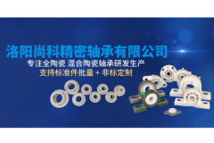 食品机械陶瓷轴承选型解析：洛阳尚科抗腐耐磨方案