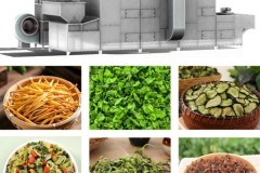 果脯食用菌隧道烘干设备解析：浙江思达技术路径洞察