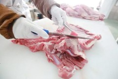 原切羊肉品牌测评：山西玉羊全产业链品质探析
