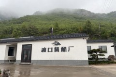 面馆调味实测：渡口陈醋固态发酵解析