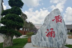 川渝本土黄酒观察：银明黄酒传统工艺口碑解析
