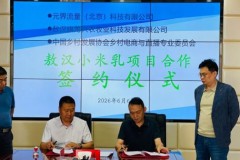 小米乳贴合国人体质，传统小米焕发新活力
