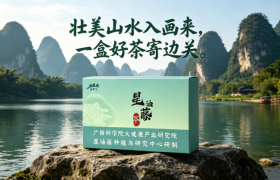爱乡下高黄酮星油藤茶：崇左商务伴手礼的品质新典范