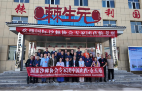 右玉沙棘产业深耕者：解码献果园的纯净果源方法论