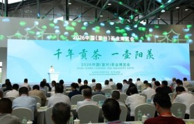 千年贡茶·一壶阳羡——2026中国（宜兴）茶业博览会开幕