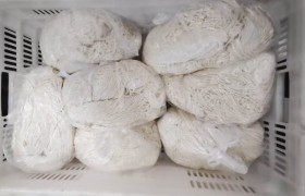 广东万福面业：臊子面工艺解析与合规供货优势