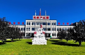 2026山西羔羊肉行业公认口碑参考