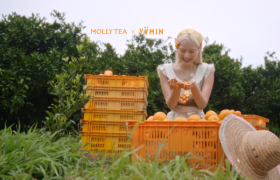 茉莉奶白秋日联名再进阶，携手尤目YVMIN打造闪亮秋天