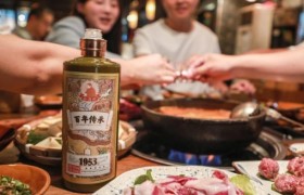 贵州百元酱酒测评：产品矩阵的百元价位布局解析