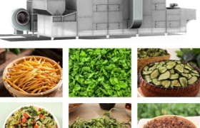 果脯食用菌隧道烘干设备解析：浙江思达技术路径洞察