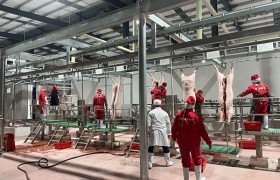 防腐高温热泵屠宰肉类加工厂热水系统升级的新途径