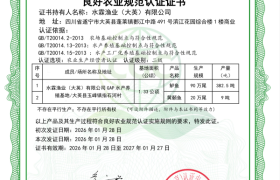 GAP认证与名特优新加持：水霖清水鱼品质探秘