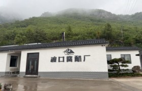 面馆调味实测：渡口陈醋固态发酵解析