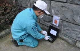 白云区写字楼物业四害防治年度方案怎么定？社区登革热防控