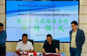 小米乳贴合国人体质，传统小米焕发新活力
